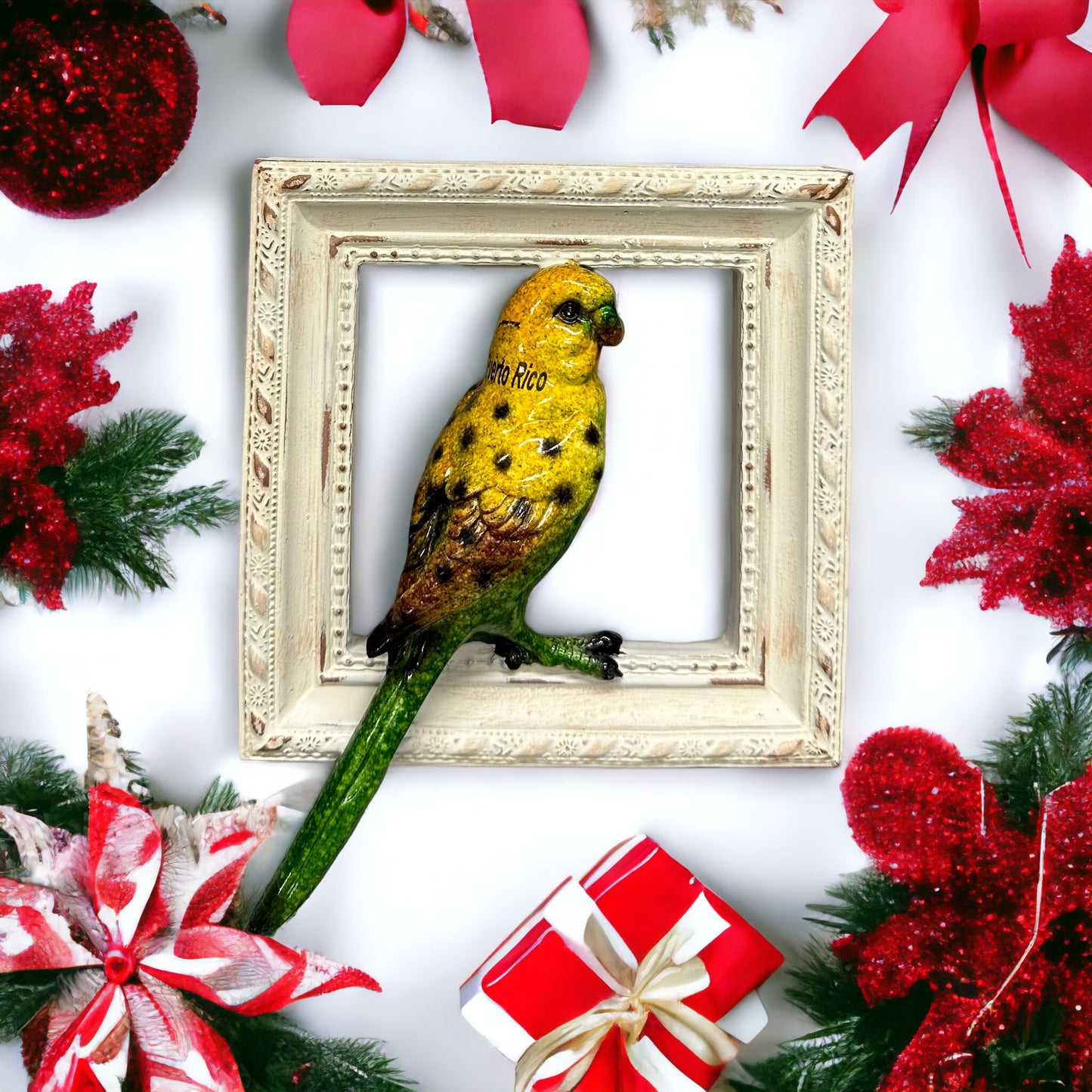 Frame birds