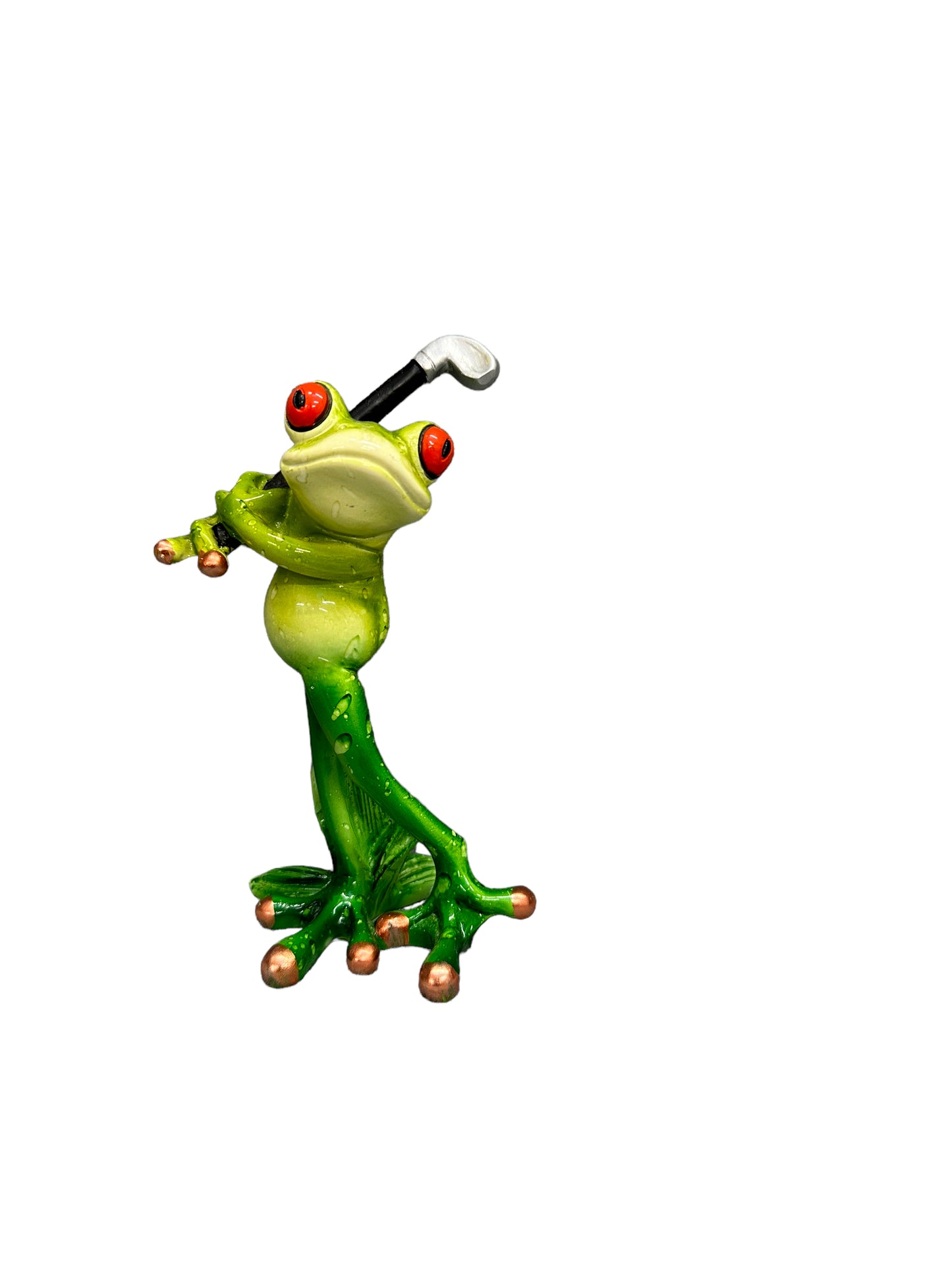 Frog Collection