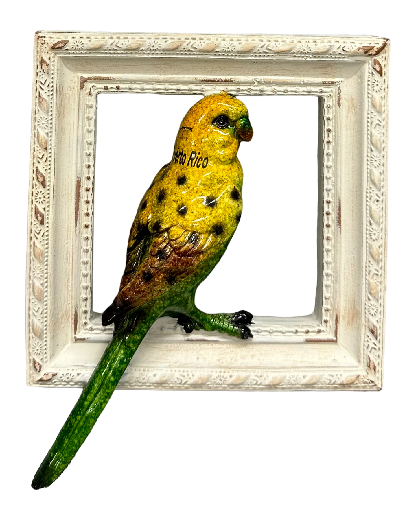 Frame birds
