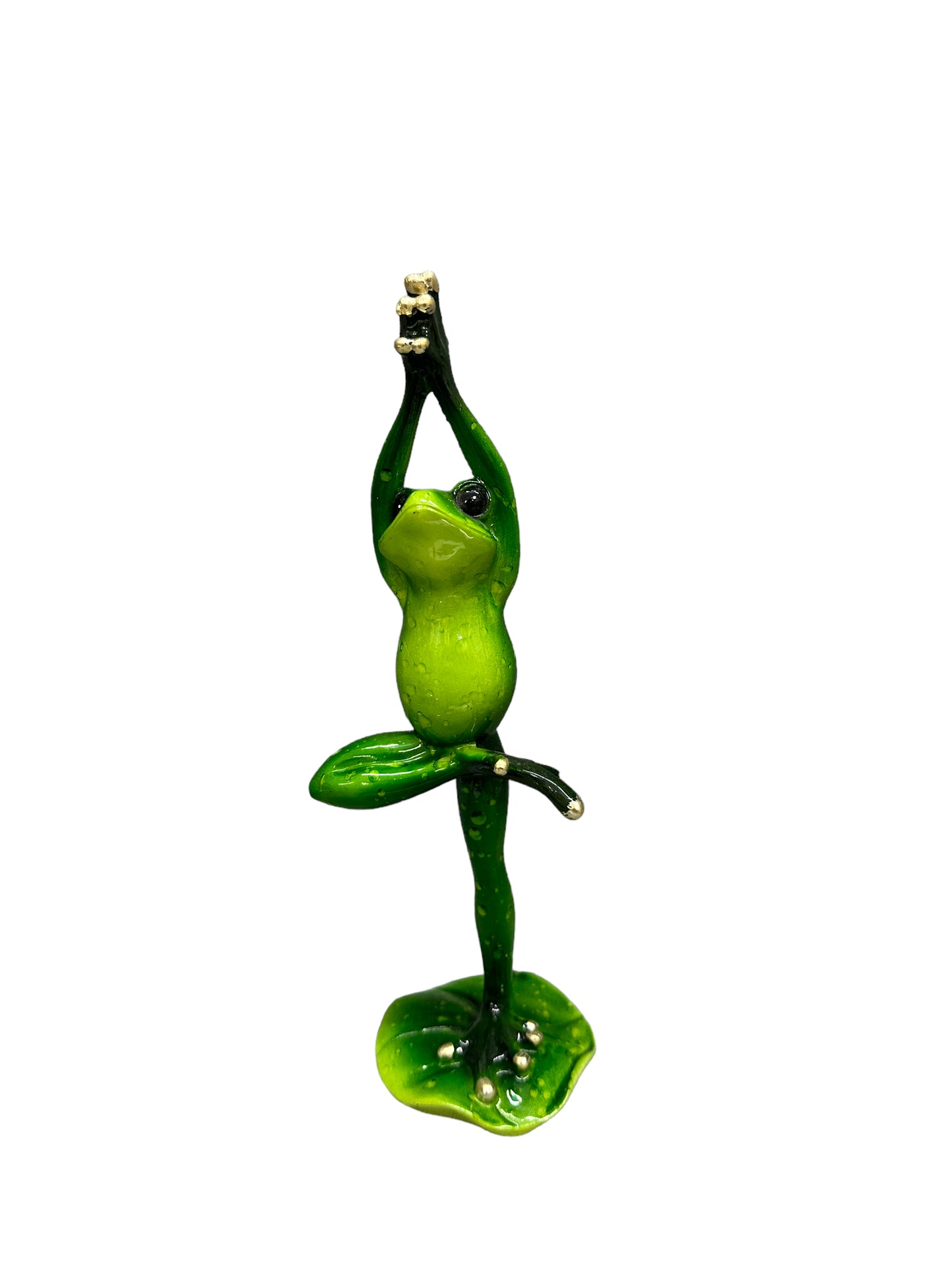 Frog Collection