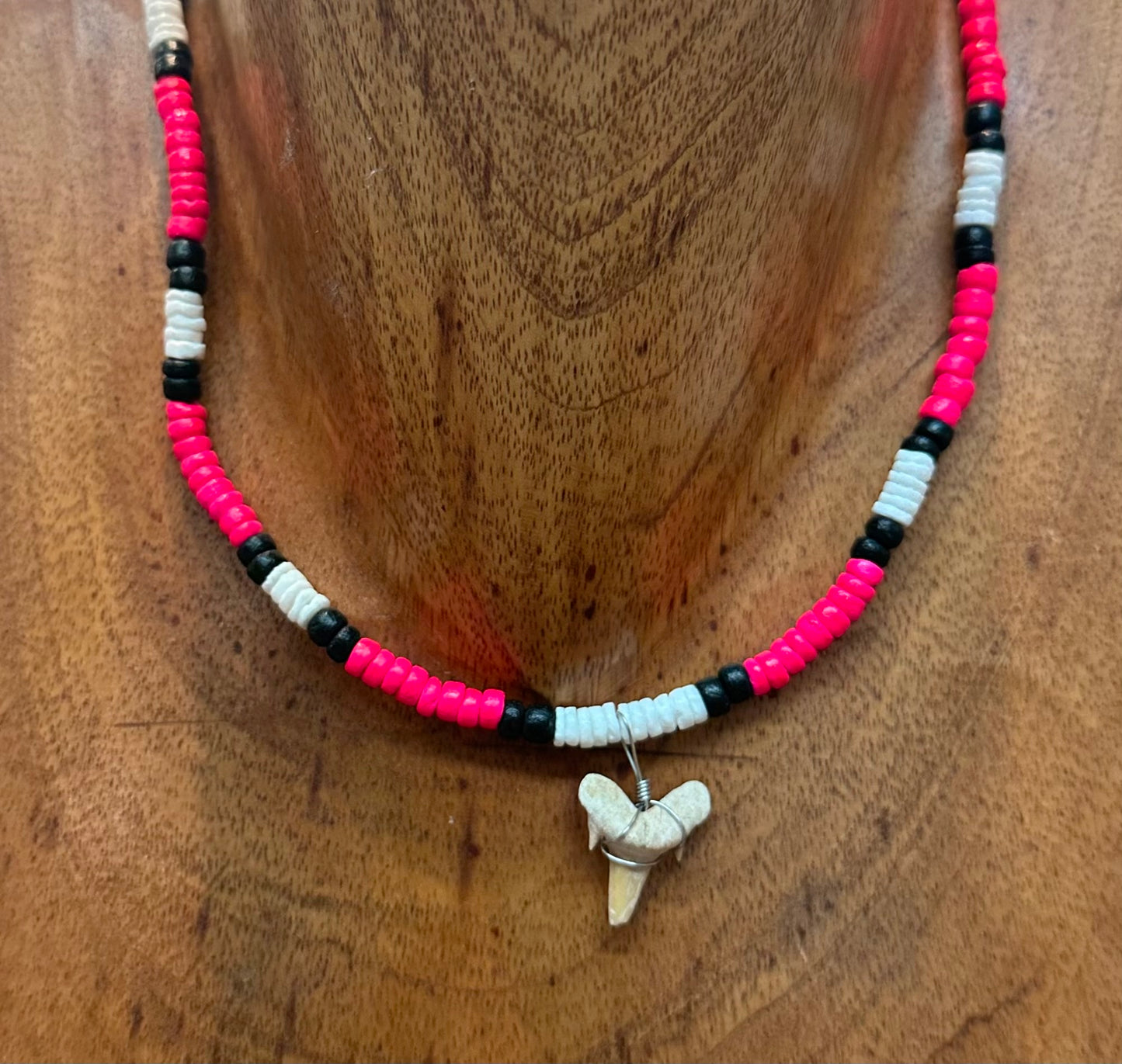 Shark tooth Necklace
