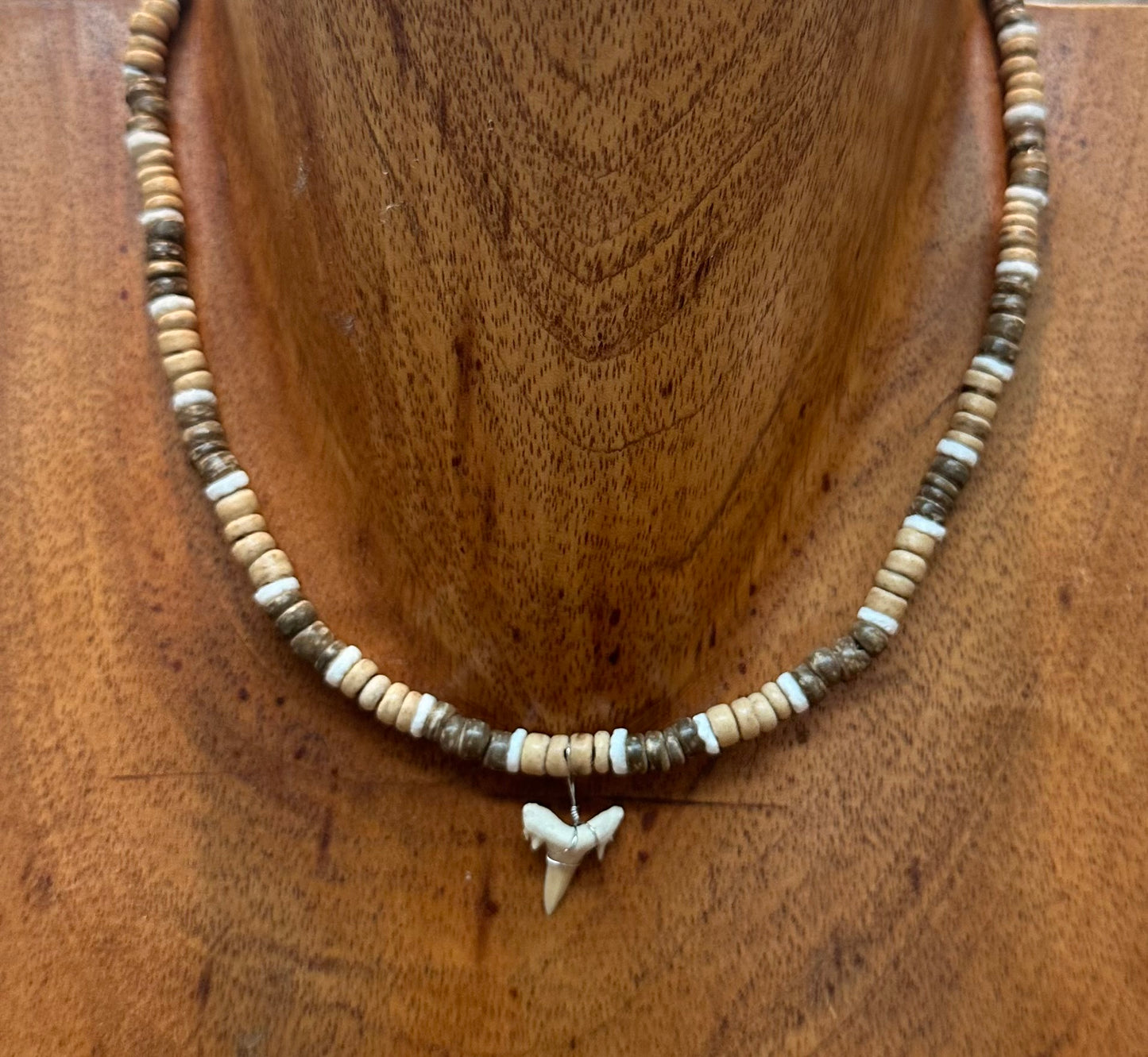 Shark tooth Necklace