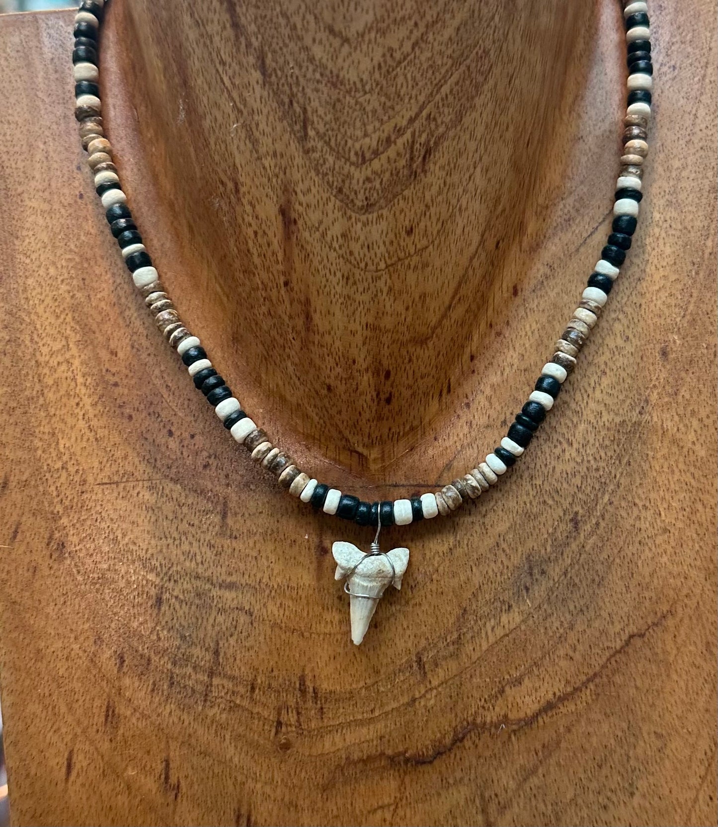 Shark tooth Necklace