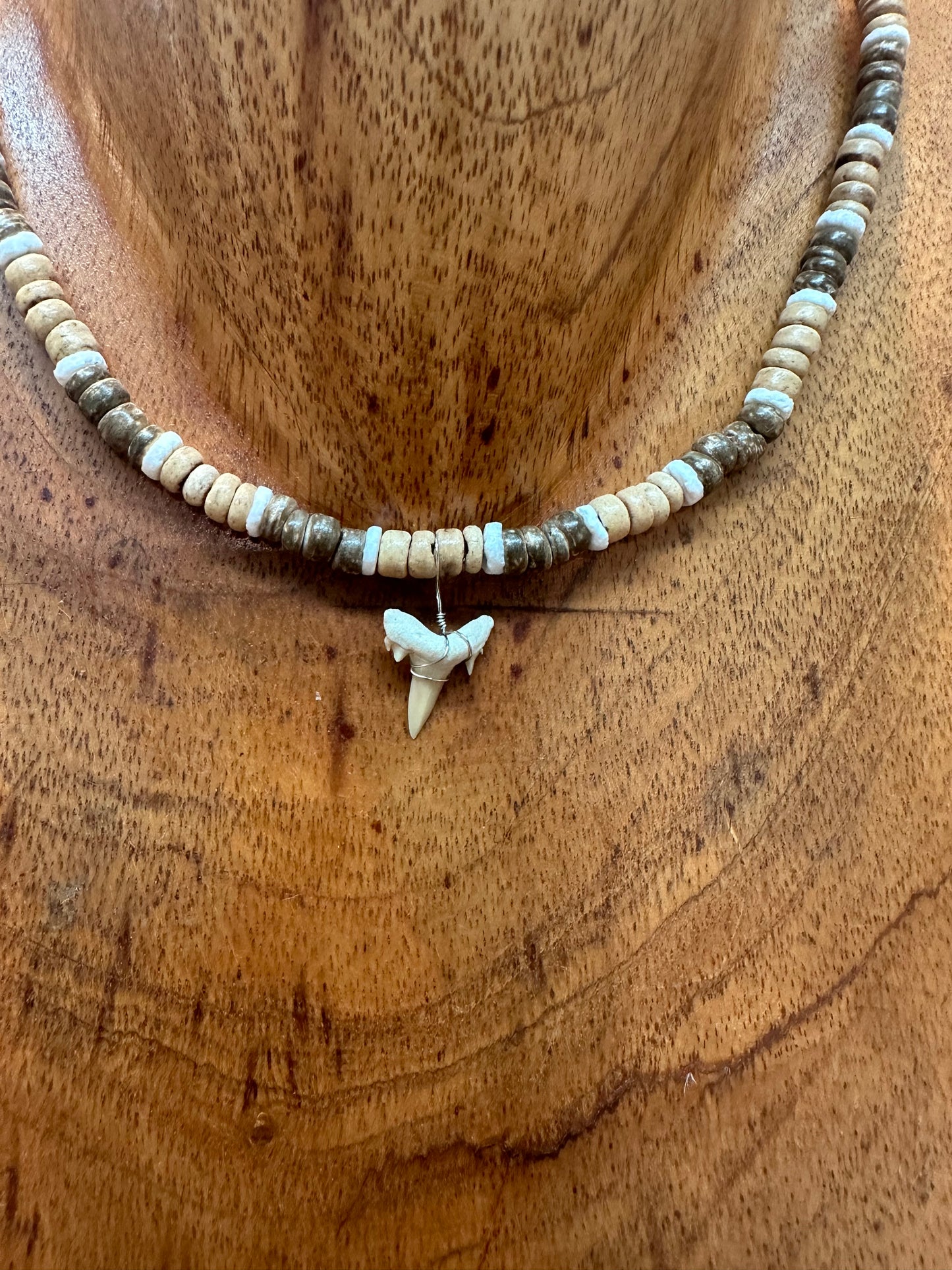 Shark tooth Necklace