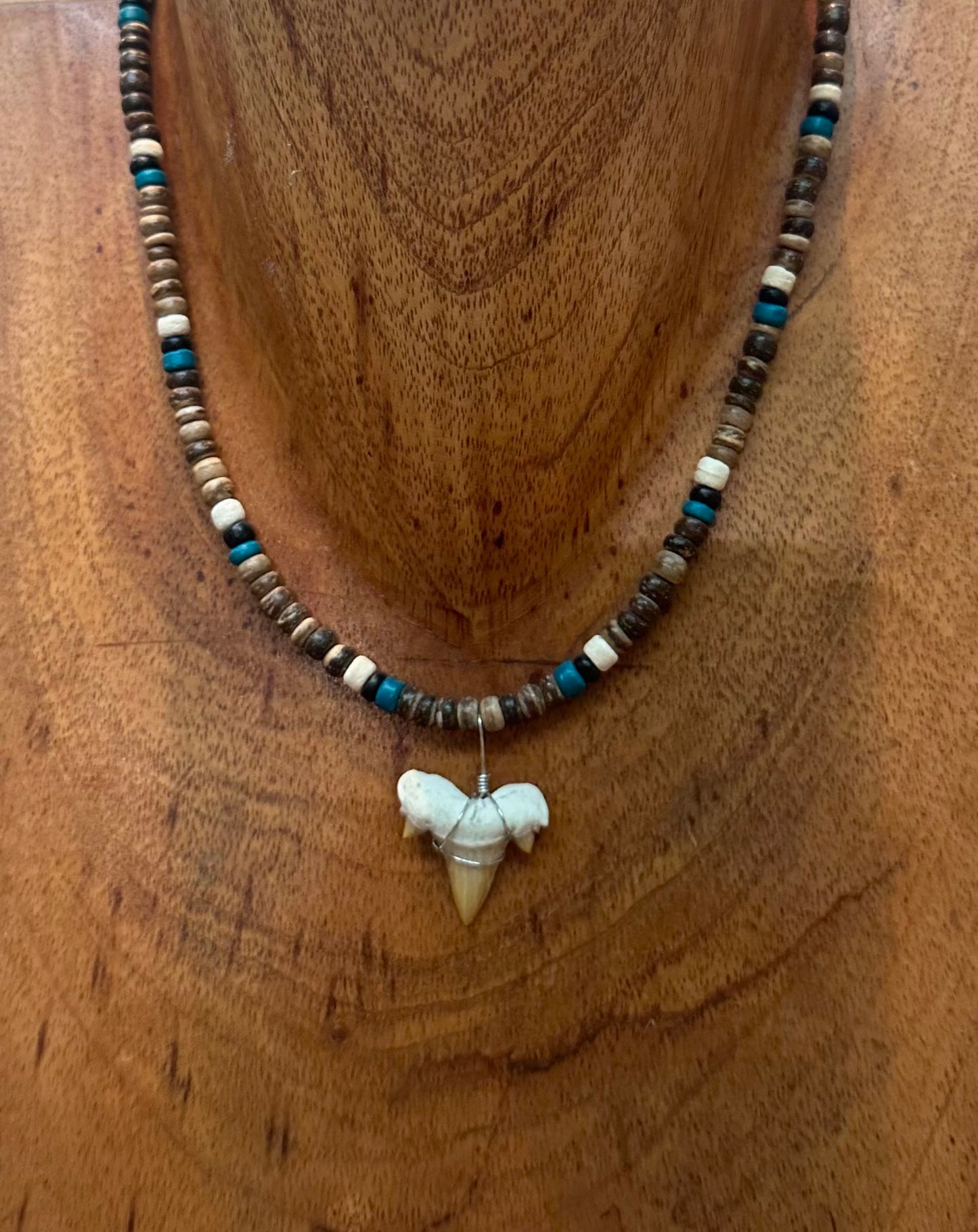 Shark tooth Necklace