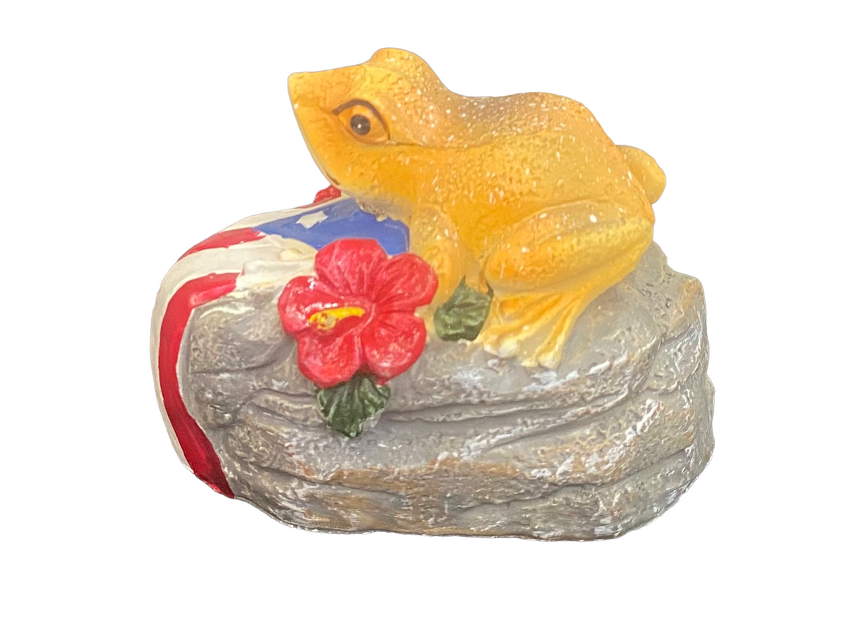 Motion sensor coqui