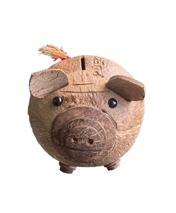 Coconut shell Piggy bank