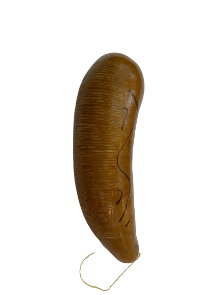 Guiro puerto rico