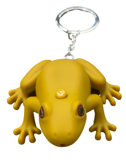 Singing coqui keychains