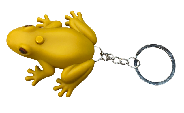 Singing coqui keychains