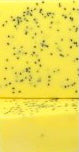Handmade Artisan soap