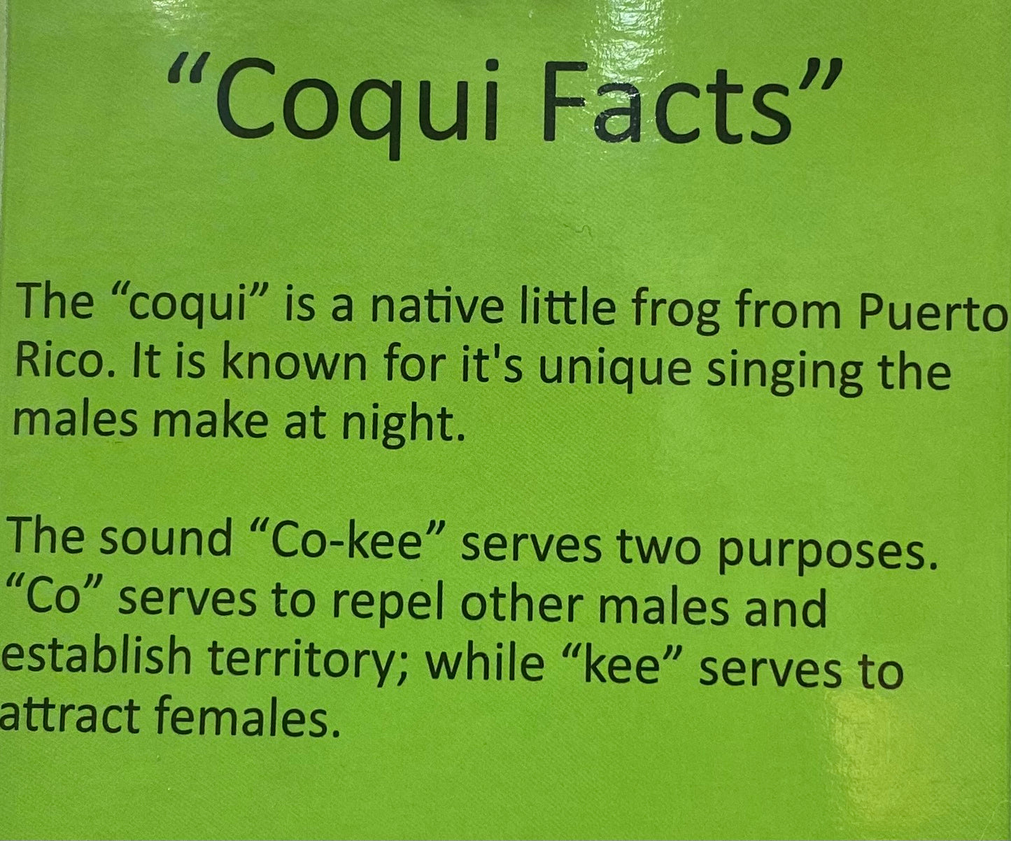 Singing coqui keychains