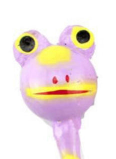 Kid Maracas animal