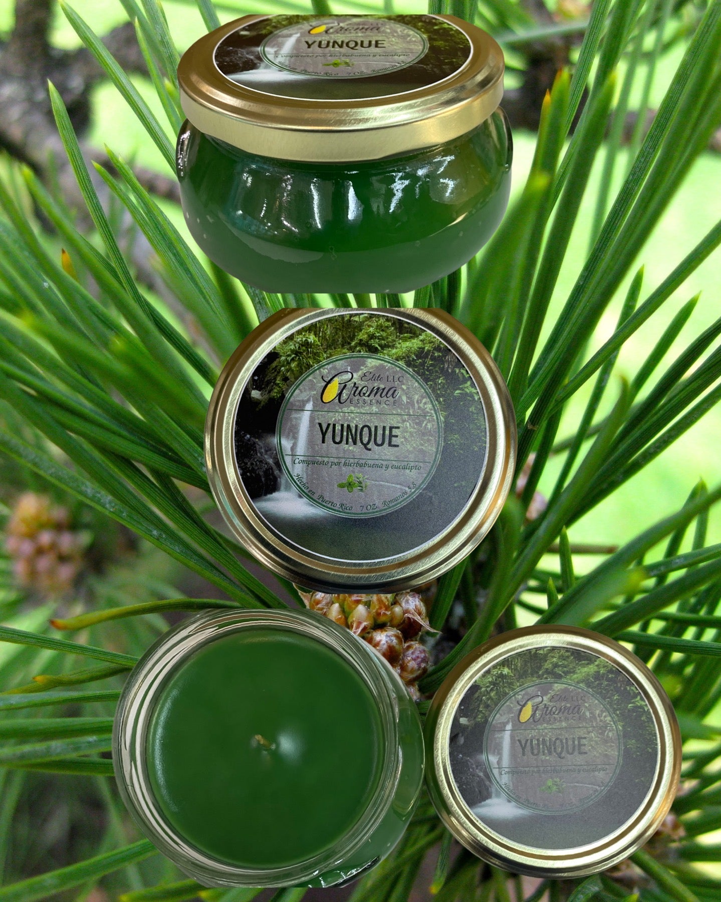 Candles scented Puerto Rico