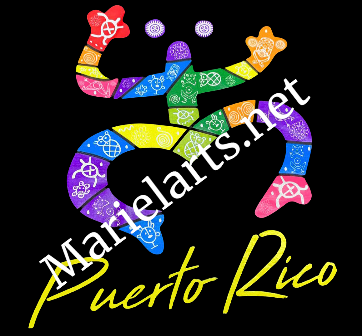 Souvenirs tee shirts Puerto Rico