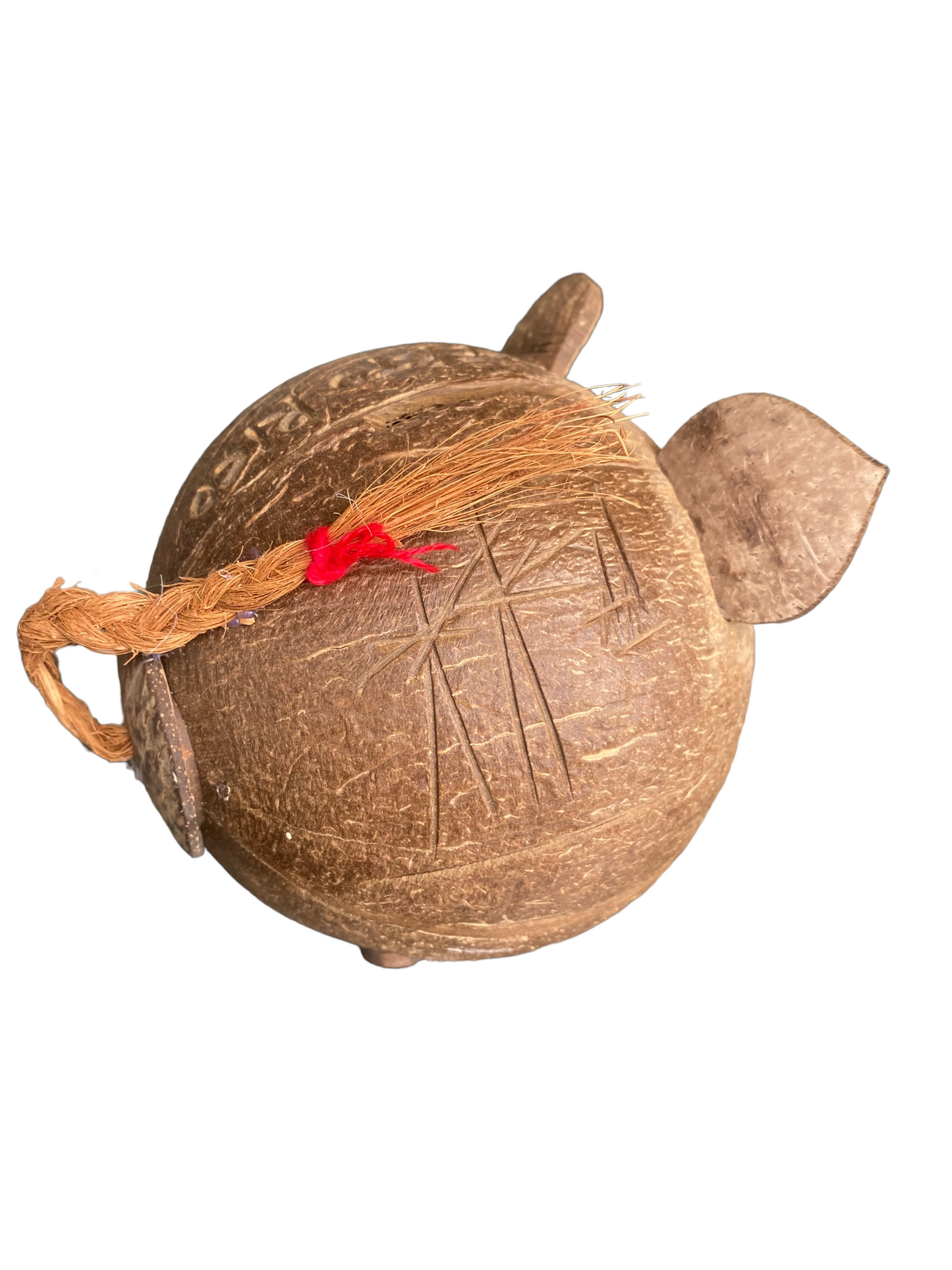 Coconut shell Piggy bank