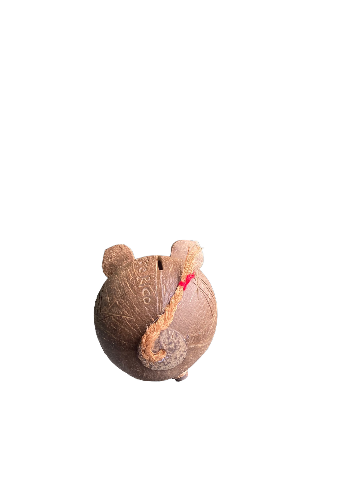 Coconut shell Piggy bank