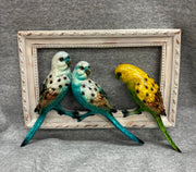 Frame birds