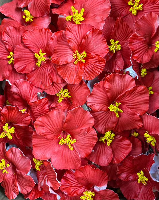 Amapola Flower /Maga Flower