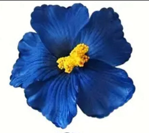 Amapola Flower /Maga Flower