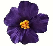 Amapola Flower / Hibiscus Flower