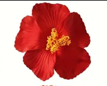 Amapola Flower /Maga Flower