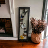 Real Framed Butterfly Wall Art