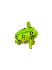 Musical Frog/Guiro