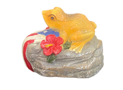 Motion sensor coqui