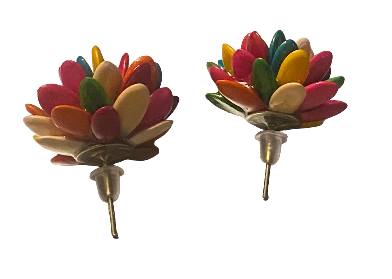 Cantaloupe seeds earrings
