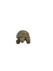 Marble turtle xs