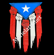 Souvenirs tee shirts Puerto Rico
