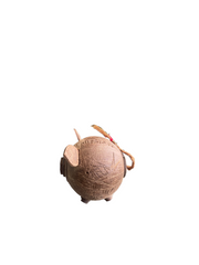 Coconut shell Piggy bank