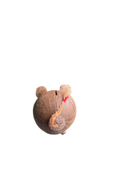 Coconut shell Piggy bank
