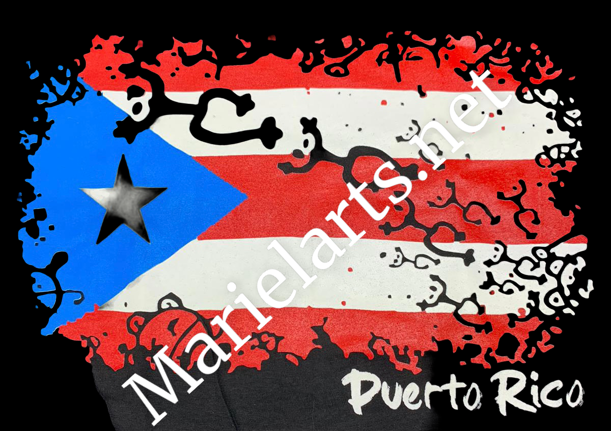 Souvenirs tee shirts Puerto Rico